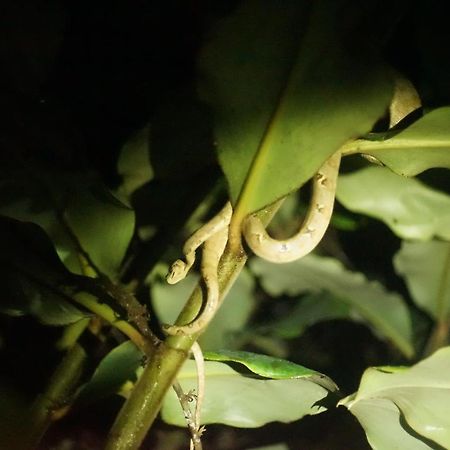 Shipati Lodge Puerto Misahuallí 外观 照片
