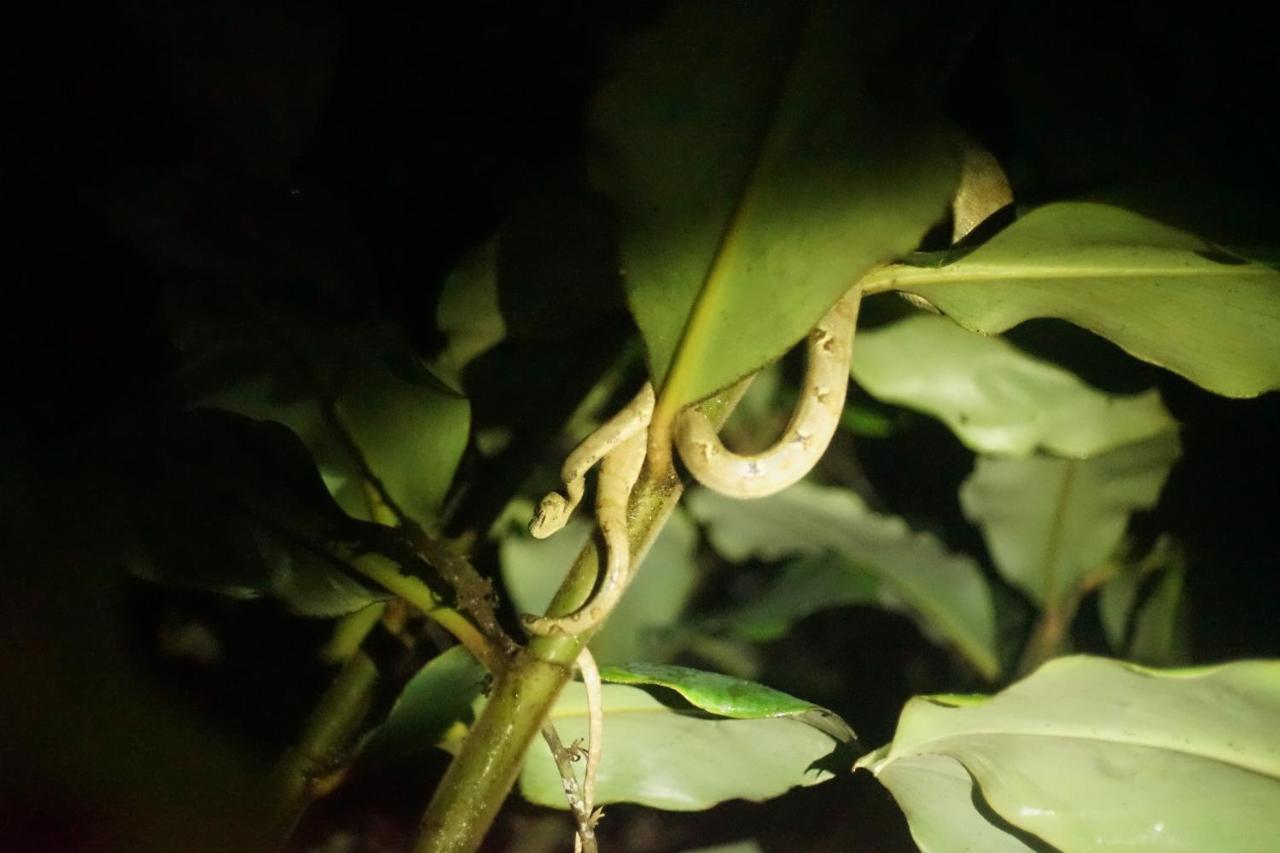Shipati Lodge Puerto Misahuallí 外观 照片