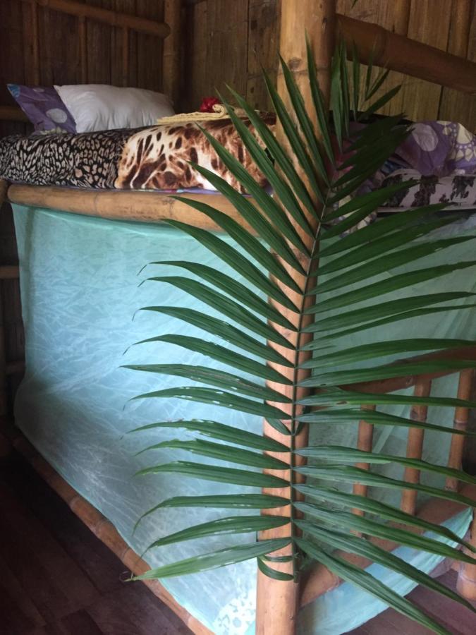 Shipati Lodge Puerto Misahuallí 外观 照片