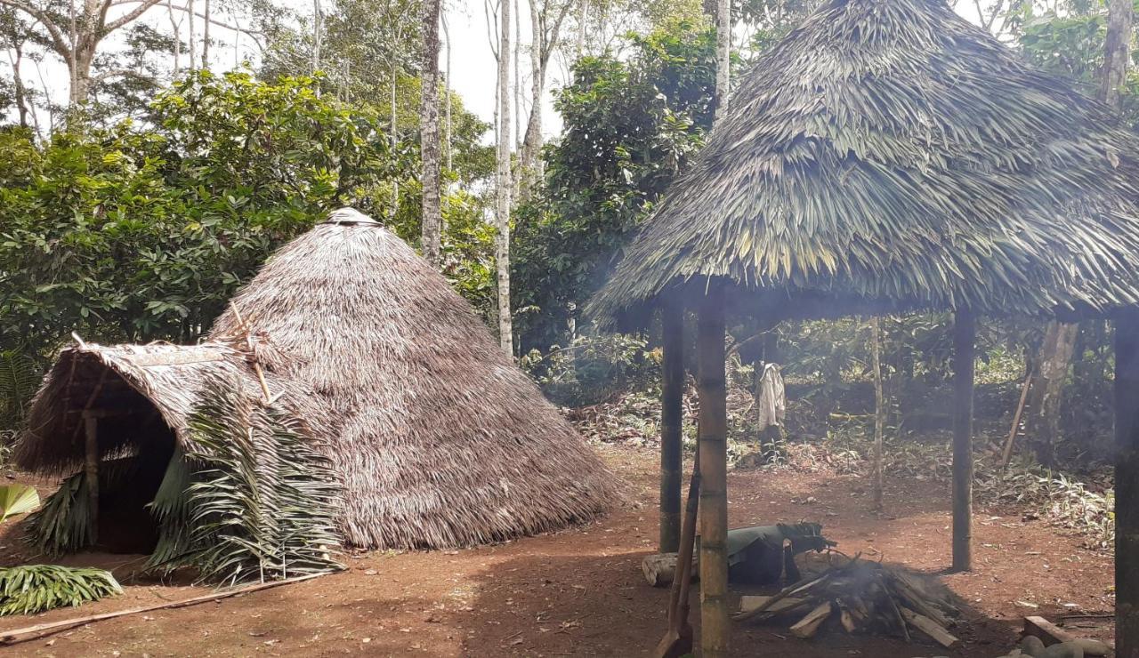 Shipati Lodge Puerto Misahuallí 外观 照片